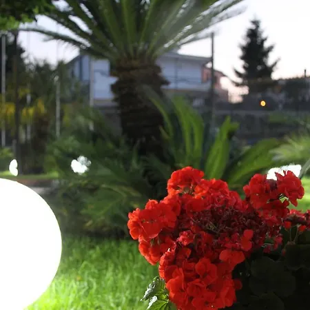 فندق Ranch Palace 4*